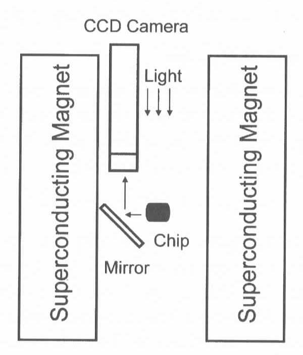 fig.2